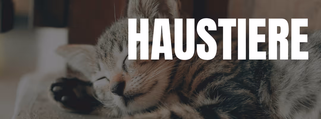 Haustiere Nische Print on Demand